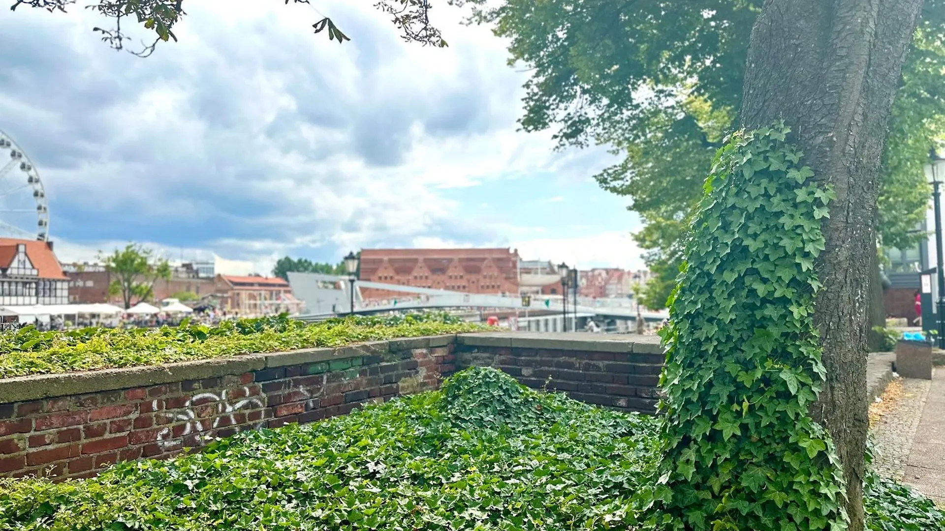 Mmrent Rose Room Gdańsk